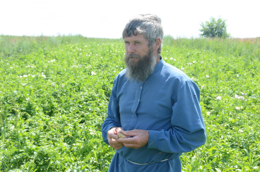 Терентий Мурачёв на собственном картофельном поле