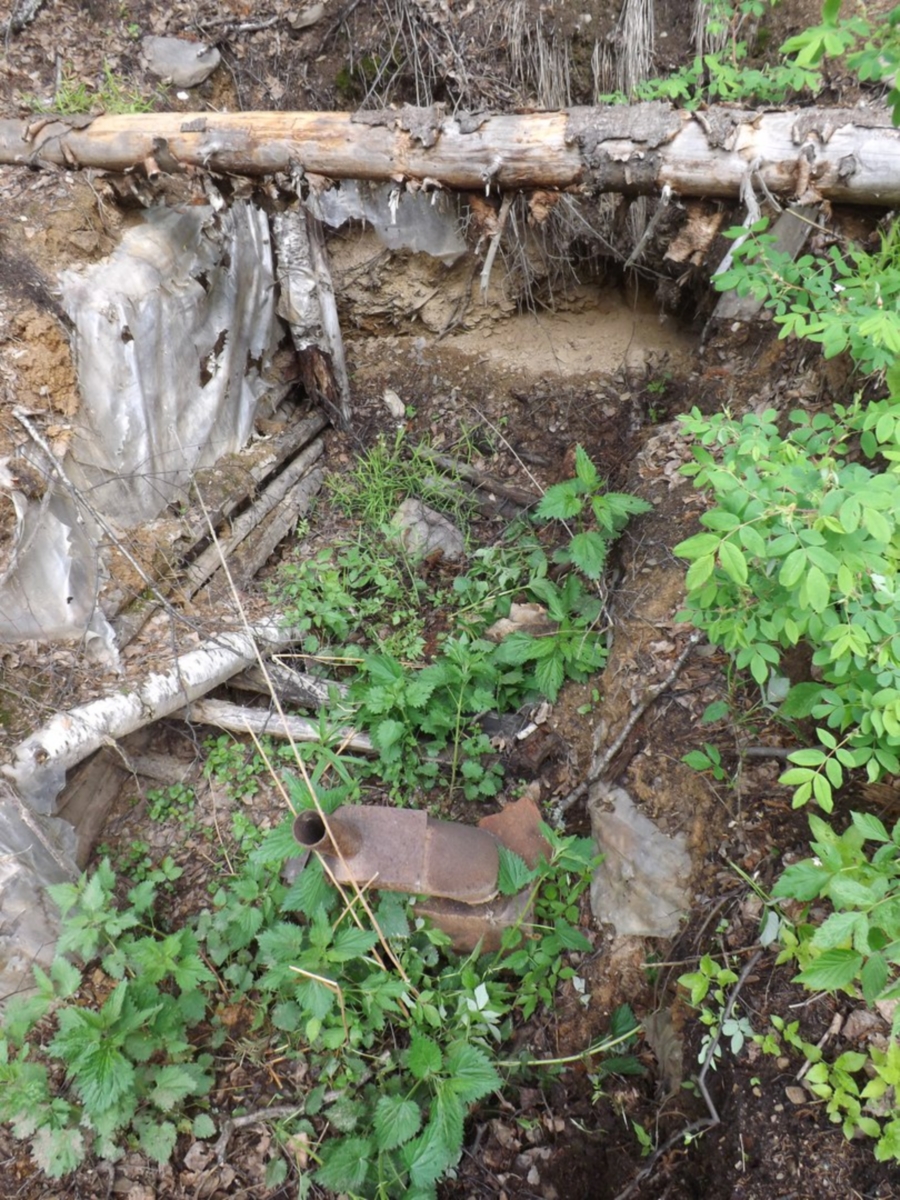 Развалины скита на реке Малый Ик в километре от могилы старицы Платониды. Крыша обвалилась