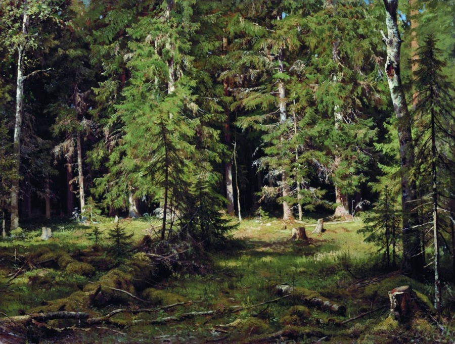 И. И. Шишкин, «Лес» (1895 год). Первым владельцем этой картины был Козьма Терентьевич