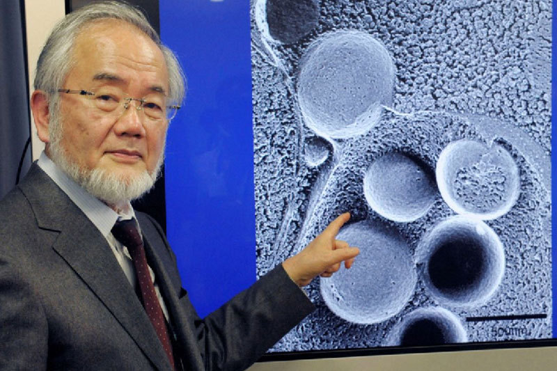Первый лауреат Нобелевской премии 2016 года — Йосинори Осуми (Yoshinori Ohsumi) специалист по биологии клетки из Технологического университета Токио