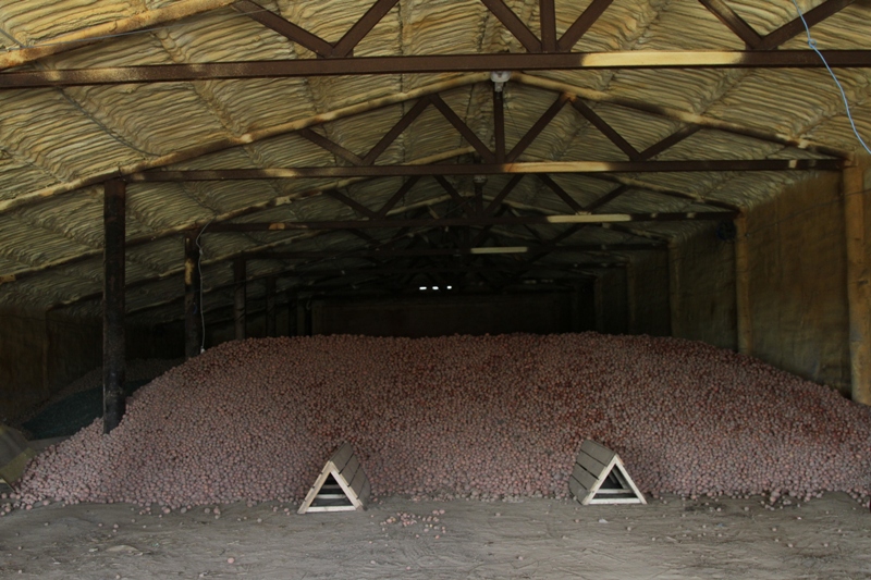Одно из картофелехранилищ, которое Сергей Петрович с сыном соорудили из списанной на металлолом фермы