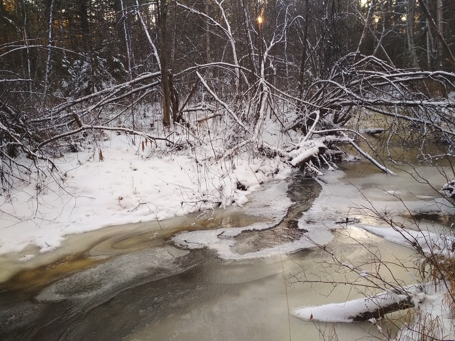 Зима нынче теплая — река местами не замерзла