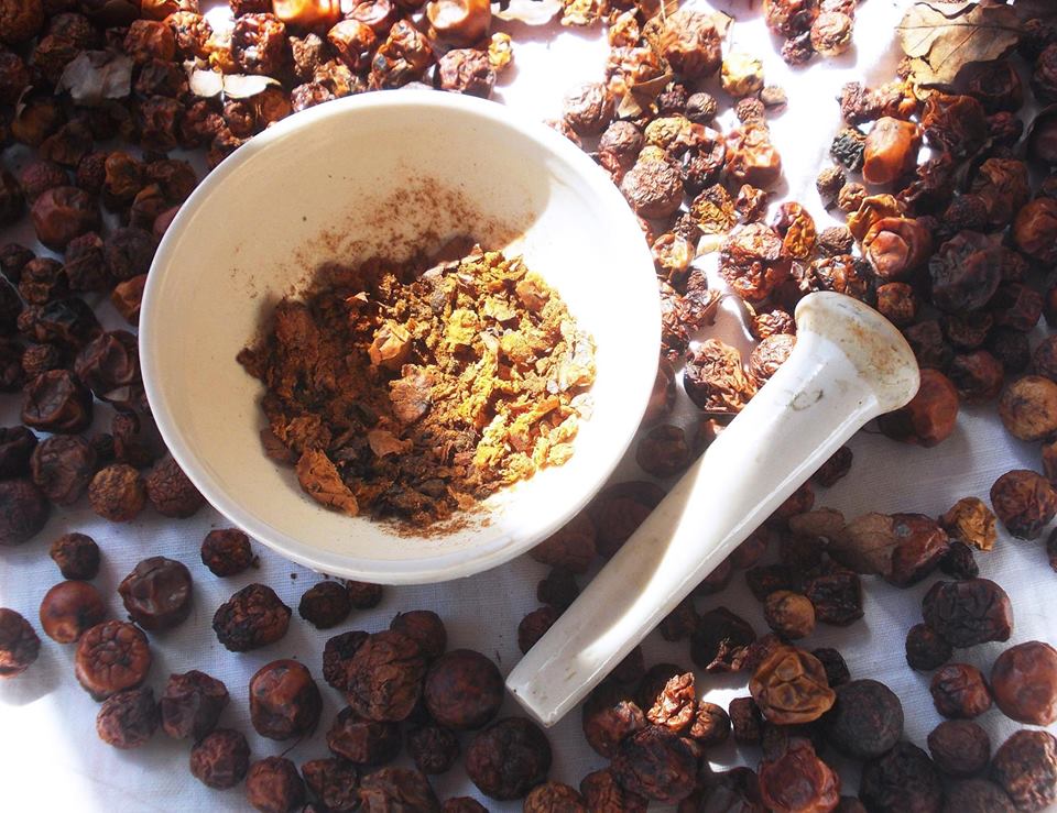 Процесс изготовления чернил из дубовых орешков