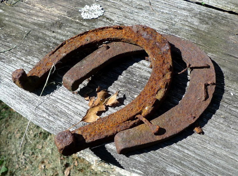 Железный лом (старые гвозди, подковы и пр.) — необходимый компонет железо-галловых чернил